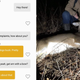 Illustration for article titled Hunter Doesnt Realize Her Bumble Match Is a Game Warden, Brags About Illegally Killing a Bigo Buckem/em
